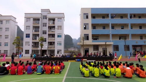 巴西足球教练走进羡塘中学交流足球文化