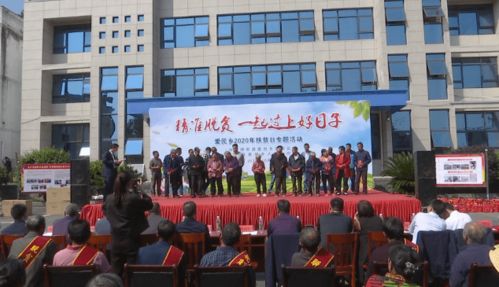 挑谷子,晒产品,讲故事,爱民乡这场主题活动办得有声有色 叶茂