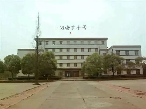 向塘中学记忆