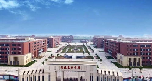 衡水冀州中学成2023高考赢家 排衡水高中第三 教育机构夸大其词