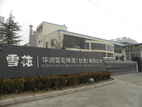 华润雪花啤酒面临市场挑战 年关三厂策略与天长市教育资源整合的思考
