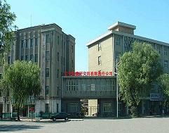 宁海县城关海林塑料制品厂与安徽省天长市关塘中学 产业与教育的不同轨迹